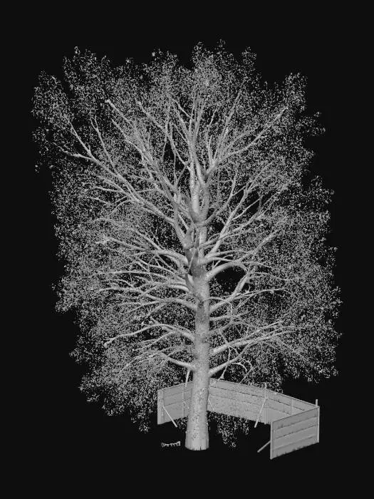 3D model for Spring Awakening