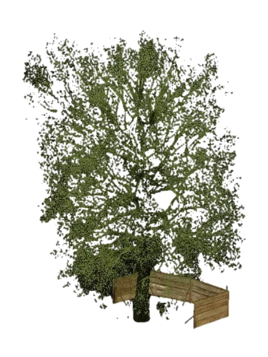 3D model for Spring Awakening