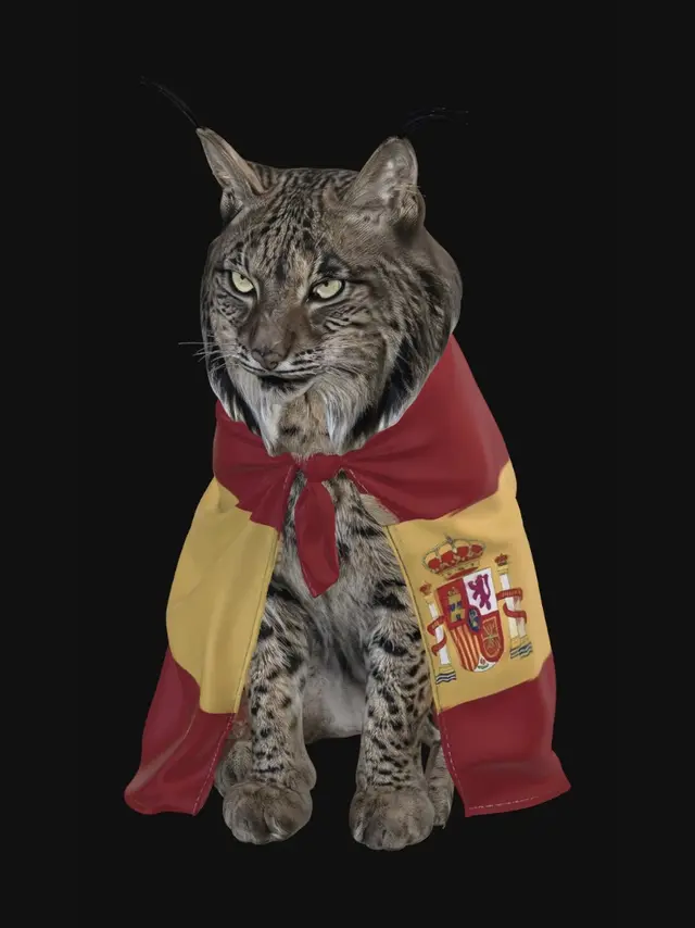 3D model for Lynx in a Spanish Cape
