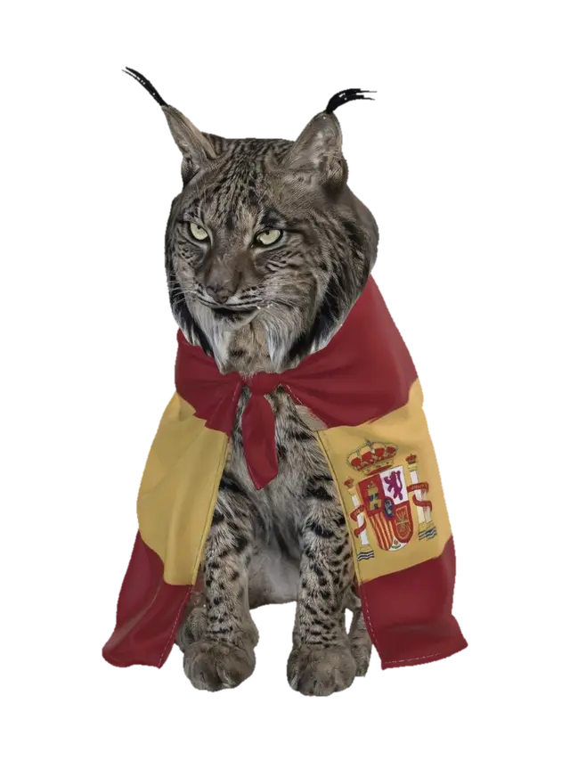 Lynx in a Spanish Cape - Wildcat 3D model, vytvořený pomocí AI