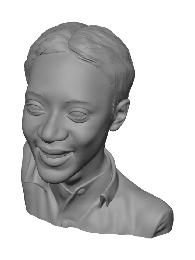 3D model for Sunlit Smile