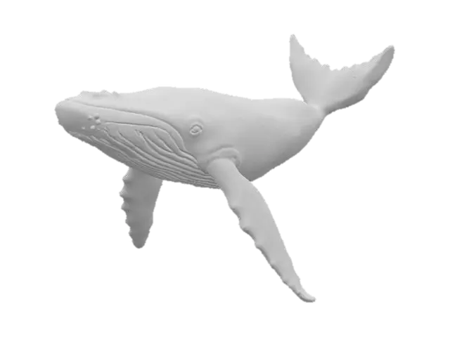 3D model for Aquatic Essence