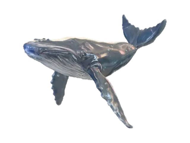3D model for Aquatic Essence