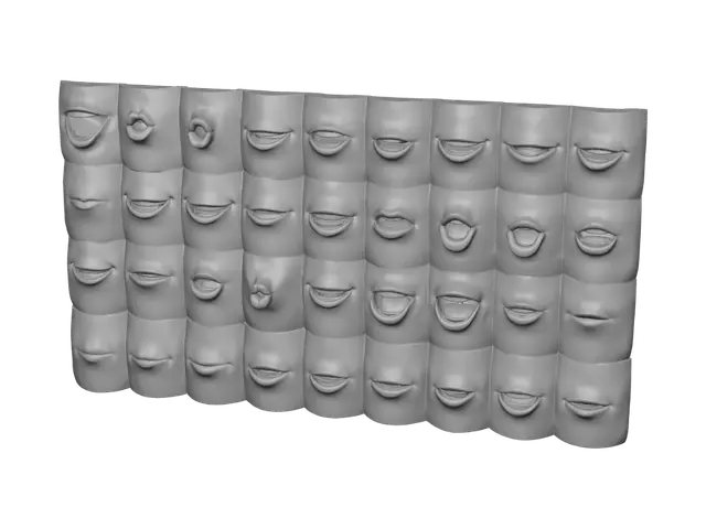 3D model for Metallic Murmurs