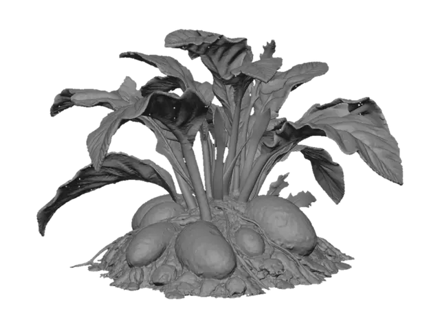 3D model for Yam plant with tubers