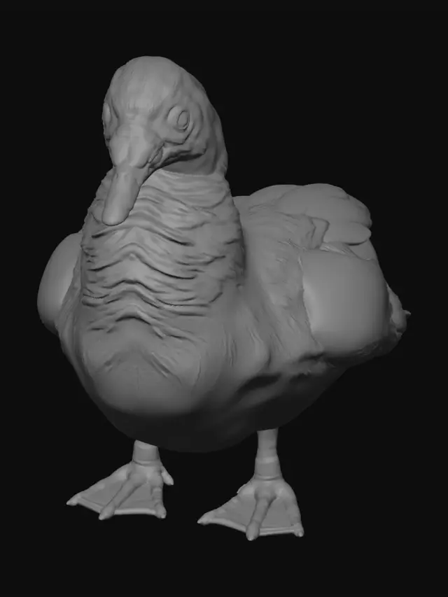 3D model for Red-faced Muscovy Duck by the Pond