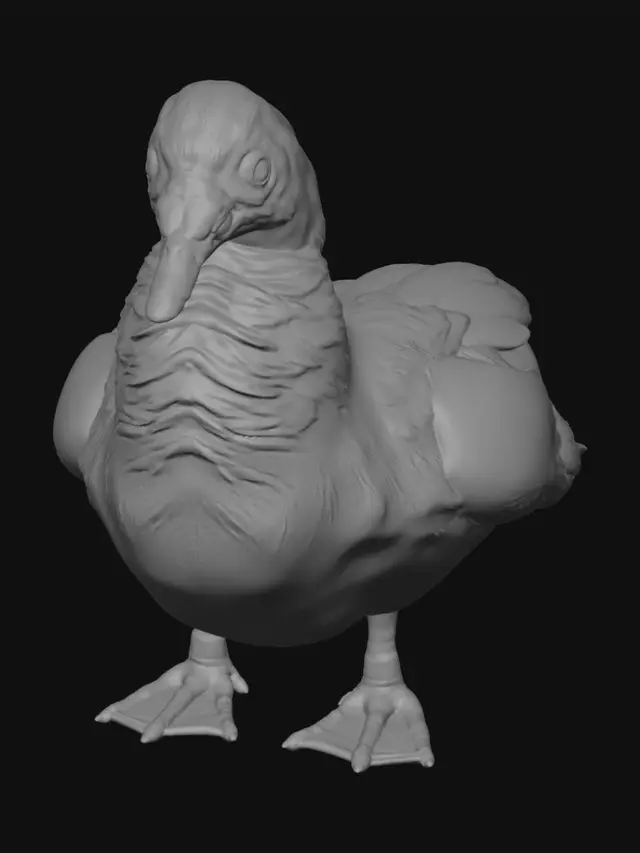 3D model for Red-faced Muscovy Duck by the Pond
