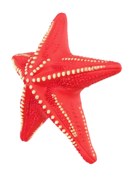 3D model for A three-dimensional model of a starfish, designed to be 3D print-ready. It features five symmetrical arms extending from a central disk, with a slightly raised, detailed upper surface showcasing texture like small tubercles or spines. The entire model is meticulously designed for printability, with clean, defined edges and smooth transitions between surfaces. Crucially, its underside is perfectly flat and planar, ensuring optimal adhesion and stability during the 3D printing process.
