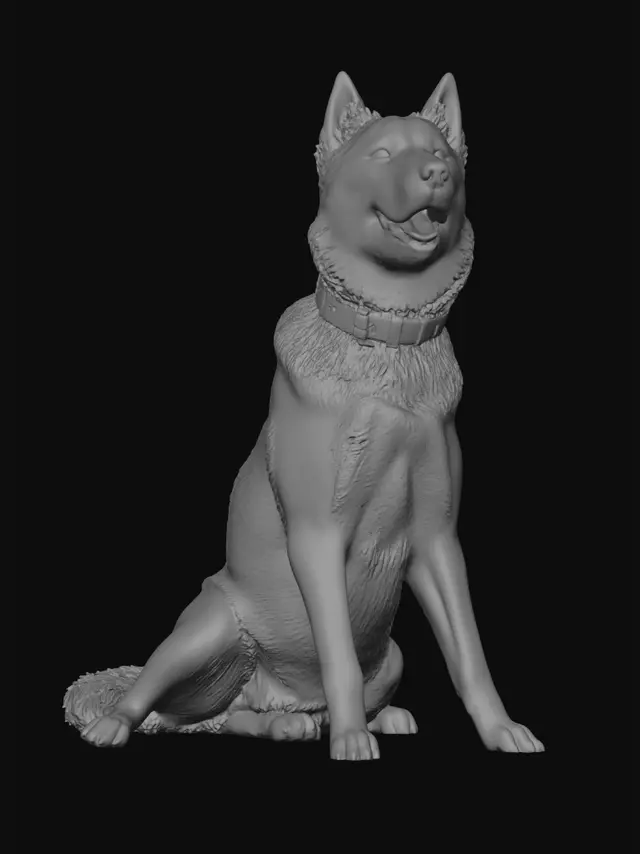 3D model for Husky by the Fence