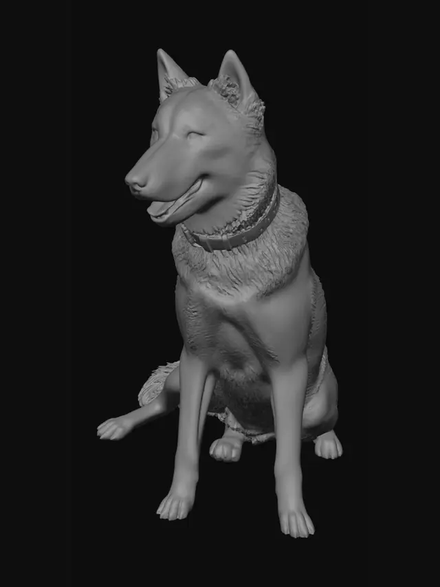3D model for Husky by the Fence