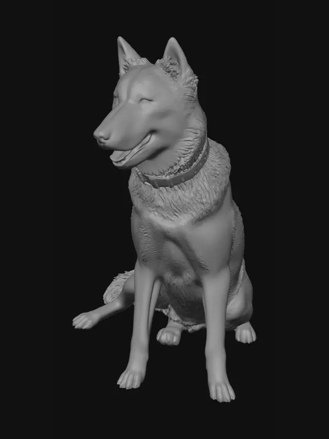 3D model for Husky by the Fence