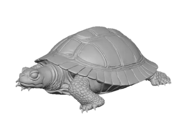 3D model for Ultra-realistic turtle animal model designed as a single solid, print-safe asset. The turtle has a broad, domed shell with natural hexagonal scutes, slightly uneven edges, and subtle wear for realism. Head and limbs are thick and well-supported, with strong proportions and no fragile parts. Skin texture is leathery and finely wrinkled, with layered scales around the neck and legs. Shell material appears as dense keratin with a matte finish, colored in deep olive green, dark brown, and muted amber tones. Skin coloration blends earthy gray-green, mossy olive, and warm sand hues. Eyes are glossy dark brown with a reflective wet look. Style is photorealistic wildlife reference, physically accurate anatomy, solid watertight geometry, no floating elements, optimized for high-detail 3D printing.