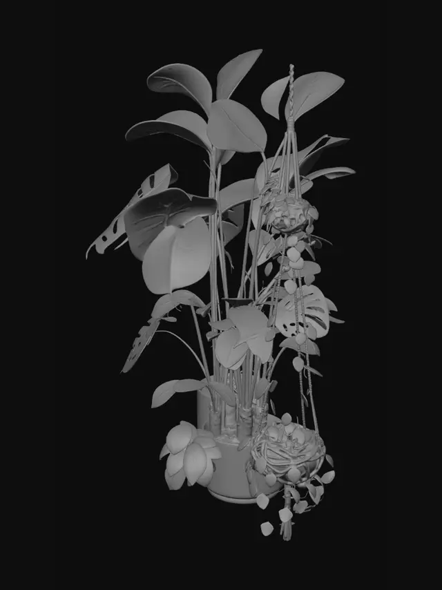 3D model for 室内、観葉植物、大型