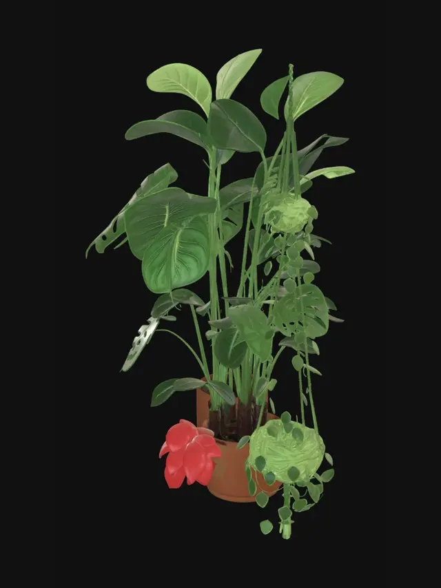 3D model for 室内、観葉植物、大型
