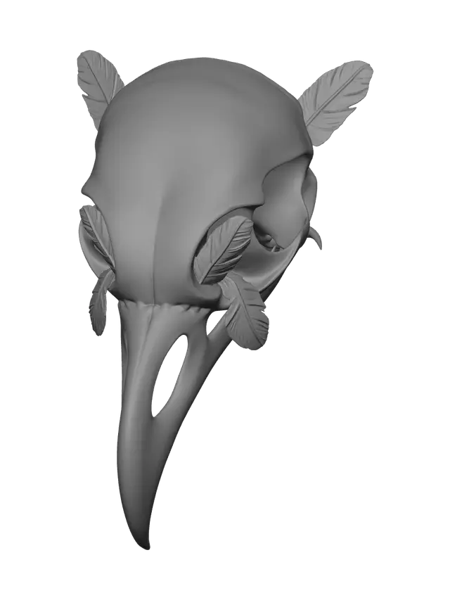 3D model for Realistic Crow Skull
