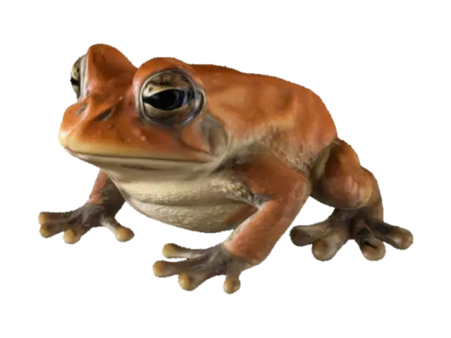 a simple toad. 3D model, vytvořený pomocí AI