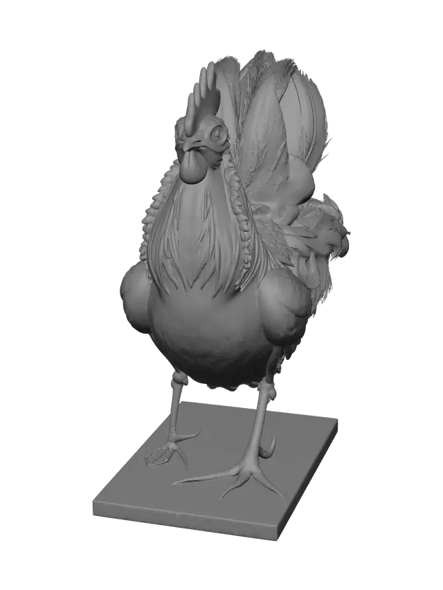 3D model for Ornate Chicken Anatomy