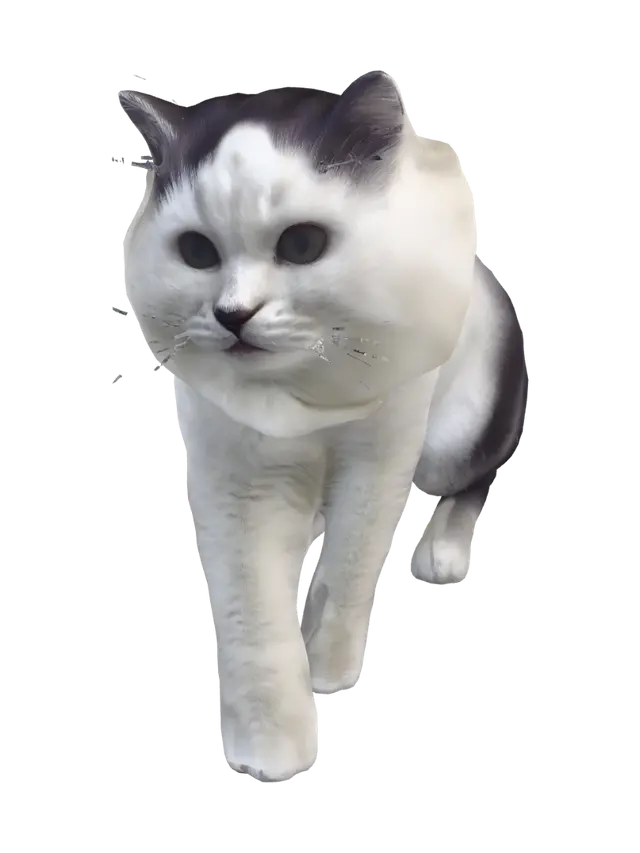 3D model for Wide-Eyed White Kitten