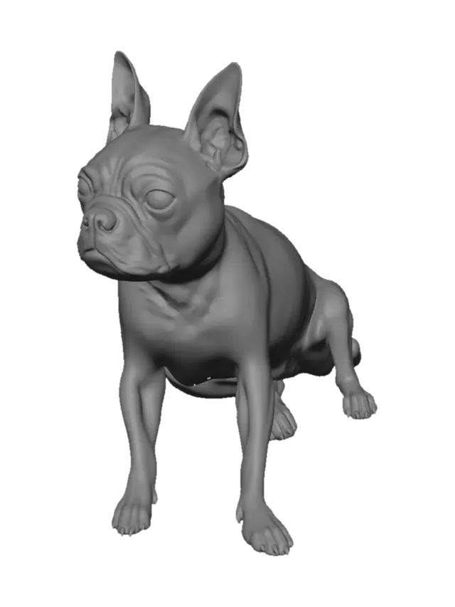 3D model for Curious Boston Terrier on the Couch