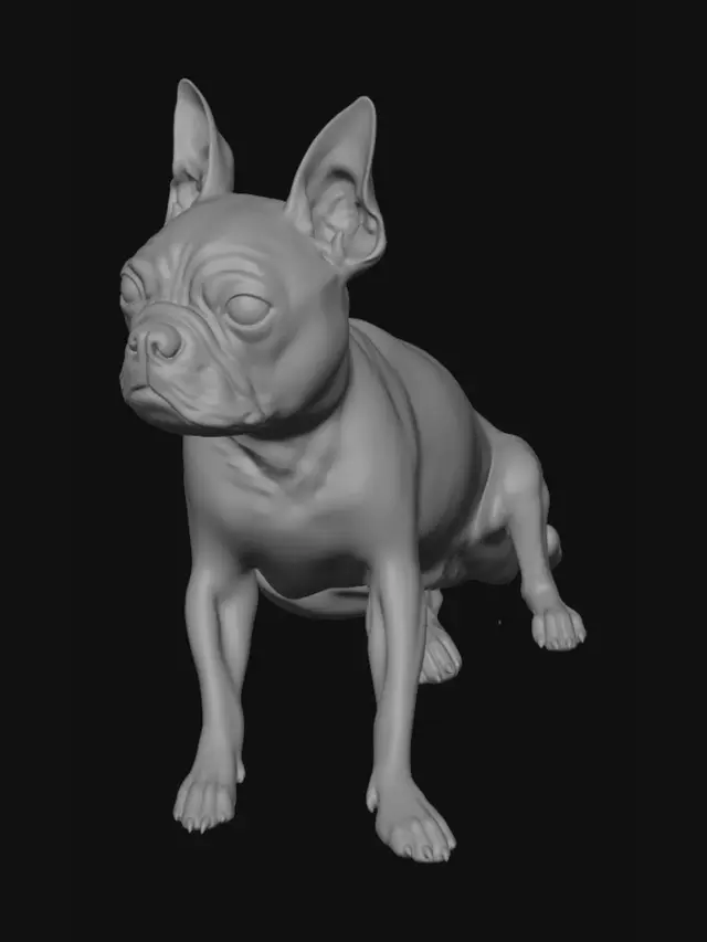 3D model for Curious Boston Terrier on the Couch