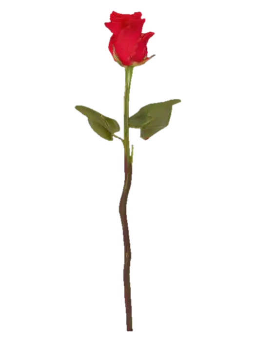 Red Rose - Roses 3D model, vytvořený pomocí AI