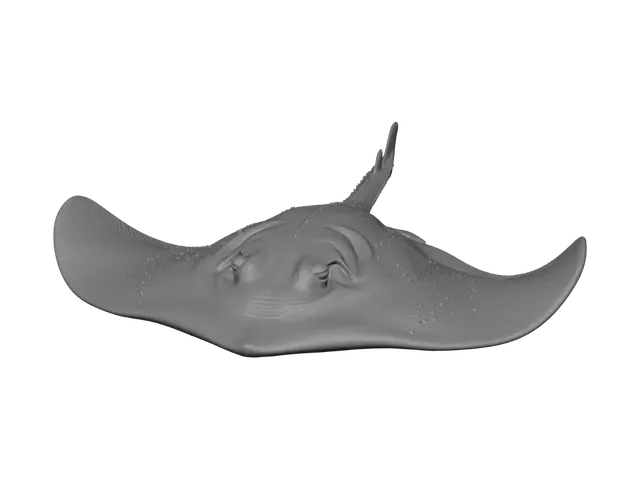 3D model for Silent Glide