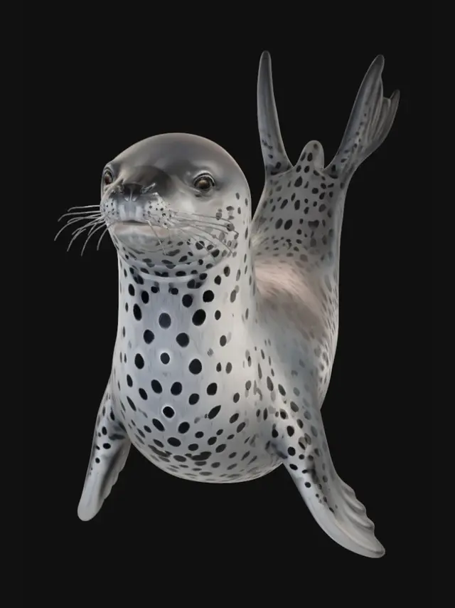 3D model for Character Turnaround - Spot Leopard Seal