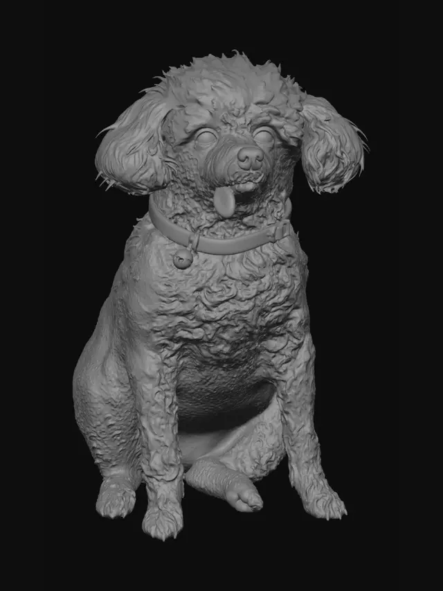 3D model for Captain Fluff