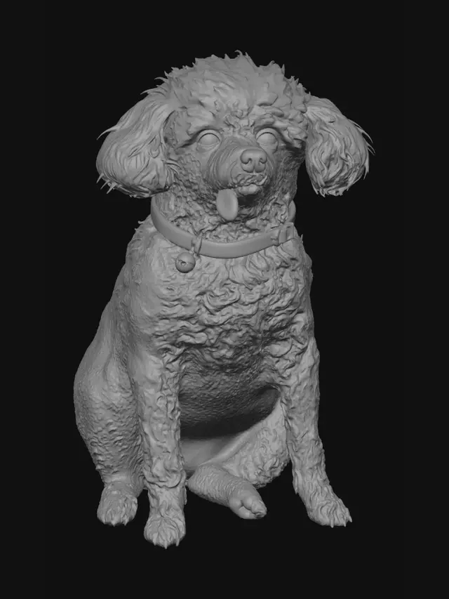 3D model for Captain Fluff