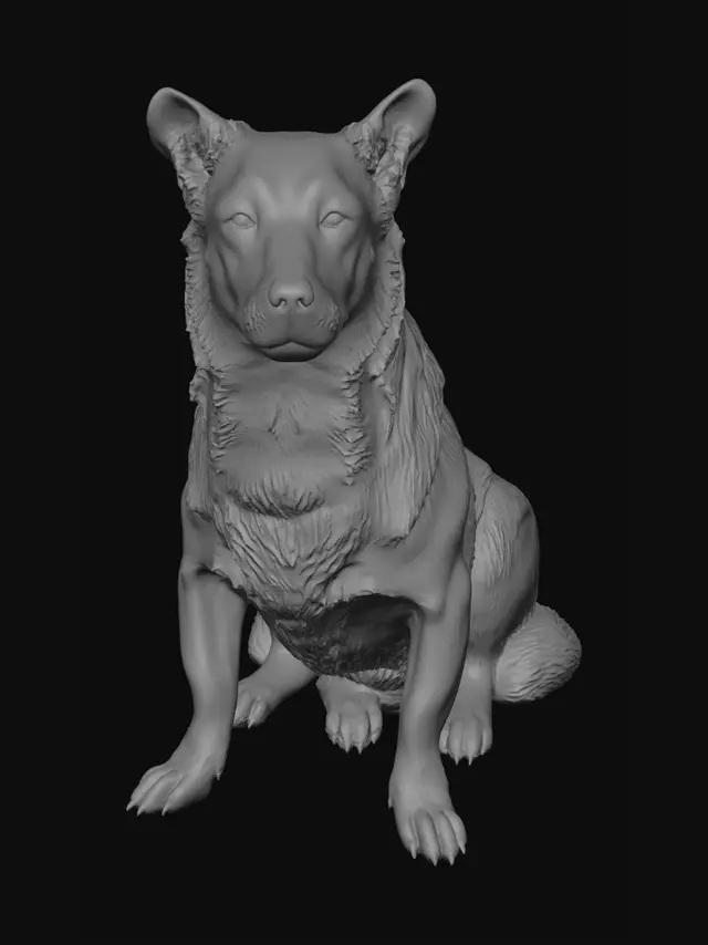 3D model for Porch Sentinel