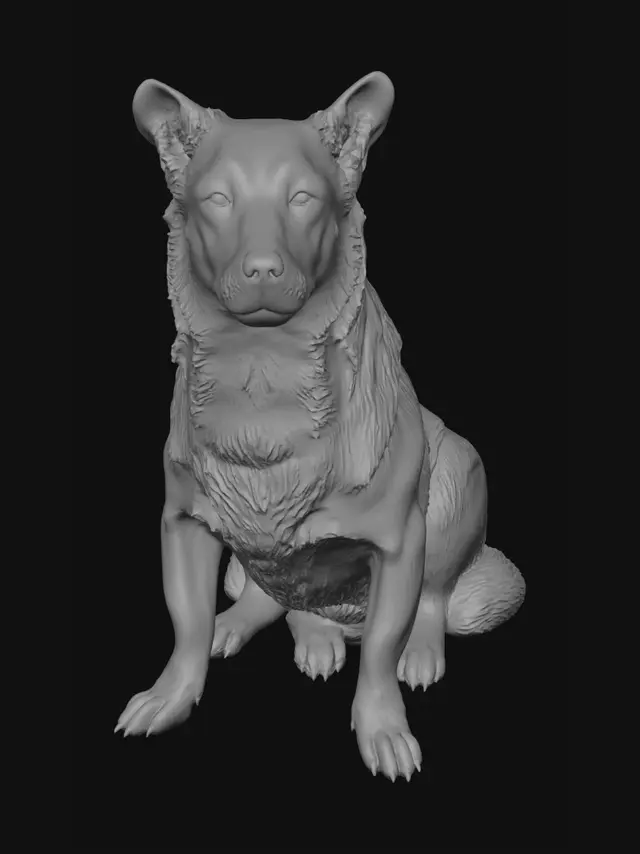 3D model for Porch Sentinel