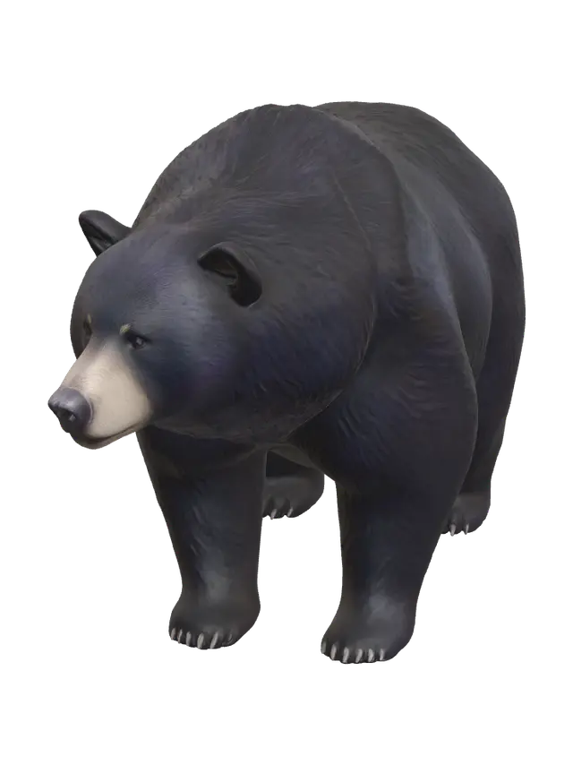 Realistic Blackbear - Savage 3D model, vytvořený pomocí AI