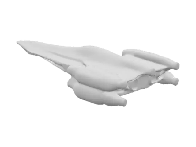3D model for Fighter class spaceship, low poly design, sci-fi elements, futuristic details, detailed textures on the ship's surface