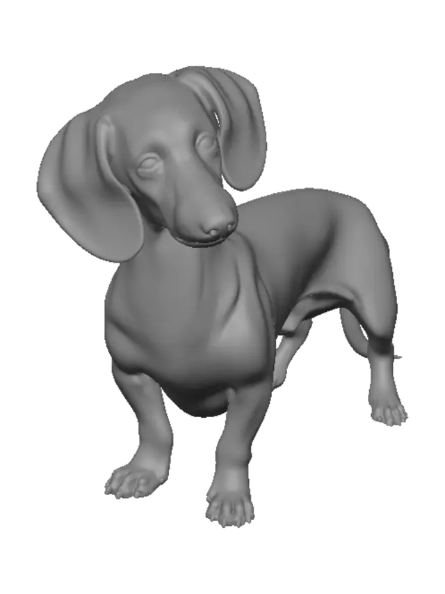 3D model for Curious Dachshund