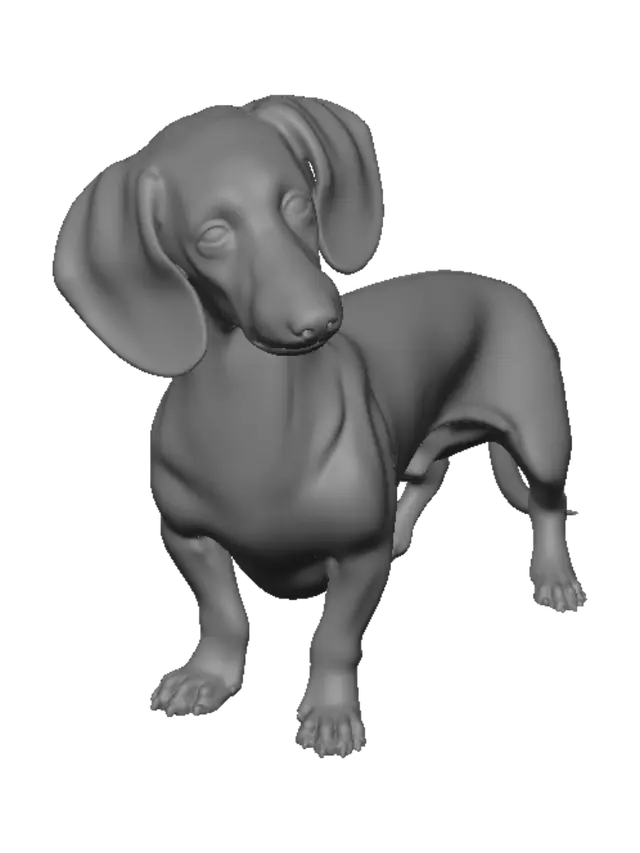 3D model for Curious Dachshund