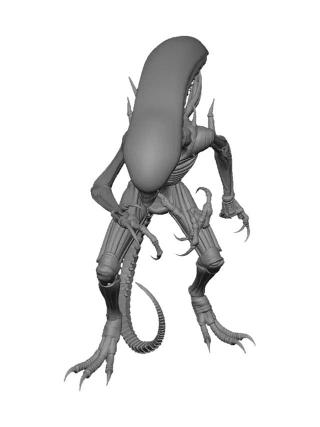 3D model for Xenomorph