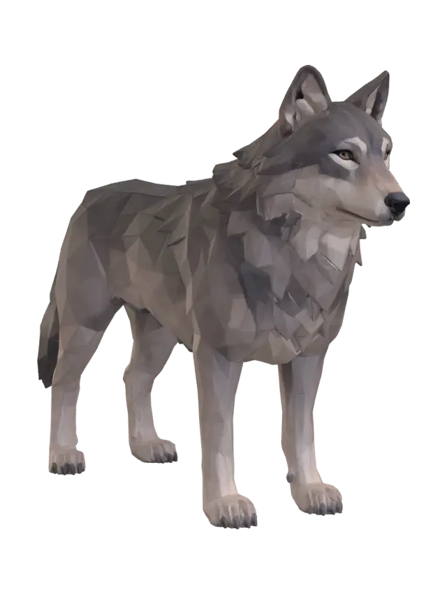 3D model for Three Angles of a Wolf