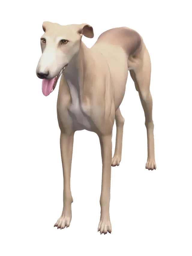 3D model for Stylized Greyhound