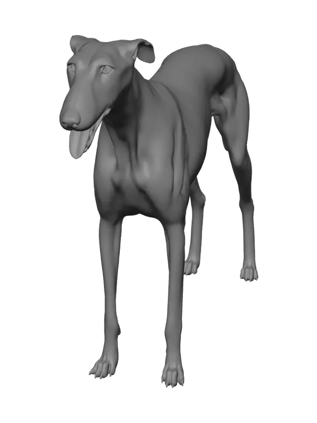 3D model for Stylized Greyhound