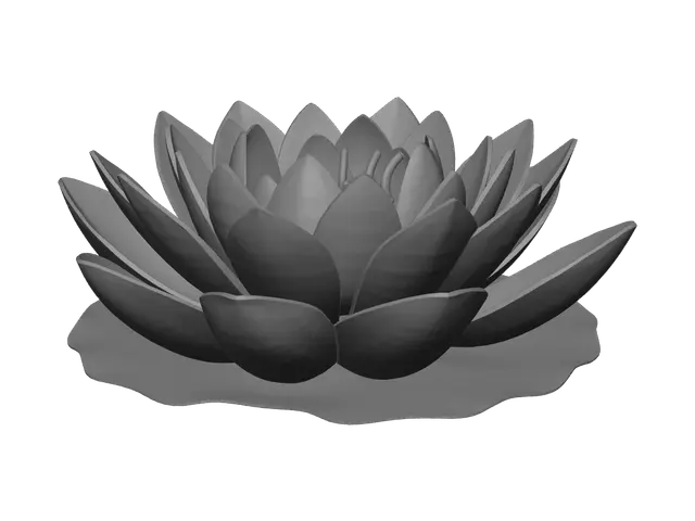 3D model for Realistic Waterlily