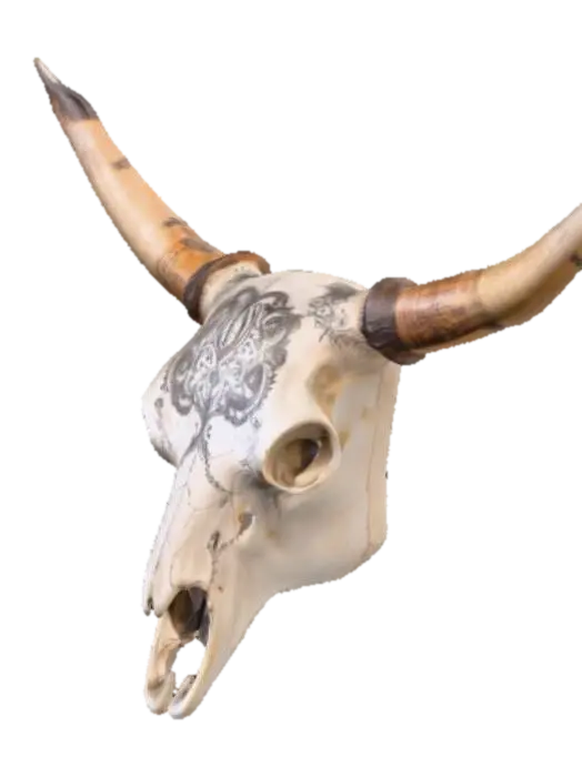 Western engrved markings on a Texas longhorn skull with horns 3D model, vytvořený pomocí AI