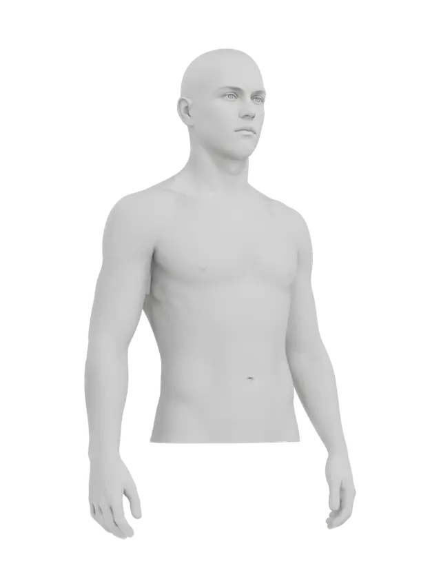 3D model for 