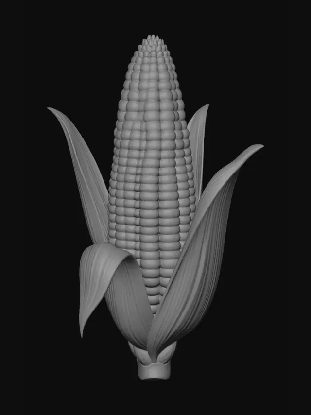 3D model for Golden Ear of Corn