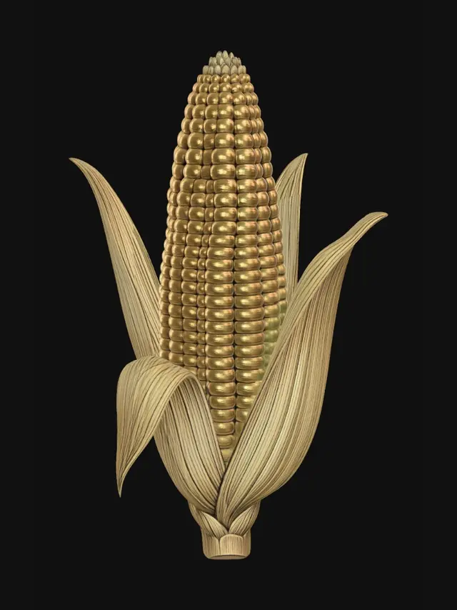 3D model for Golden Ear of Corn