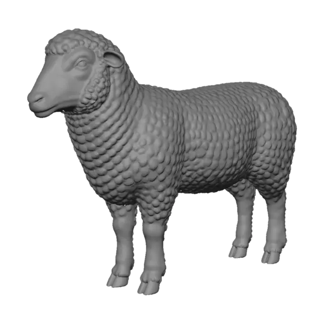 3D model for Ivory Curl Sheep