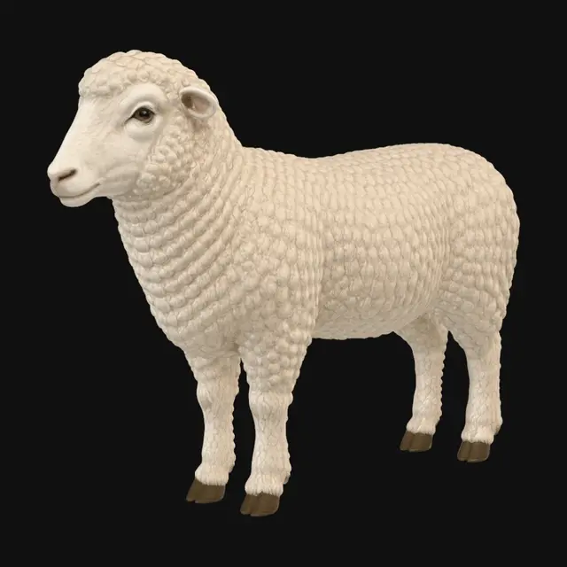 3D model for Ivory Curl Sheep
