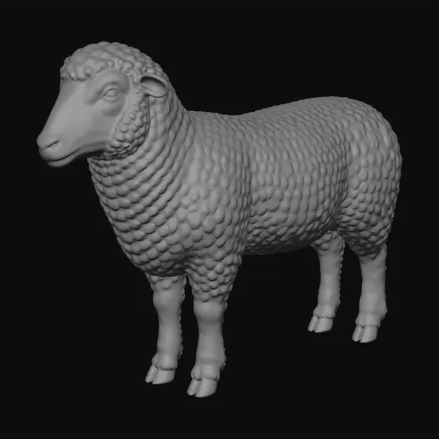 3D model for Ivory Curl Sheep