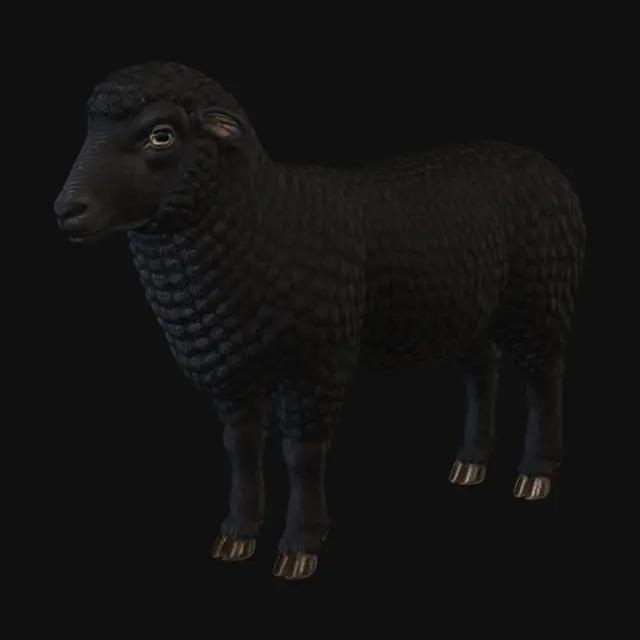 3D model for Ivory Curl Sheep