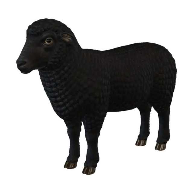 3D model for Ivory Curl Sheep