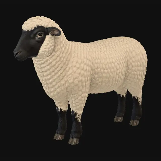 3D model for Ivory Curl Sheep